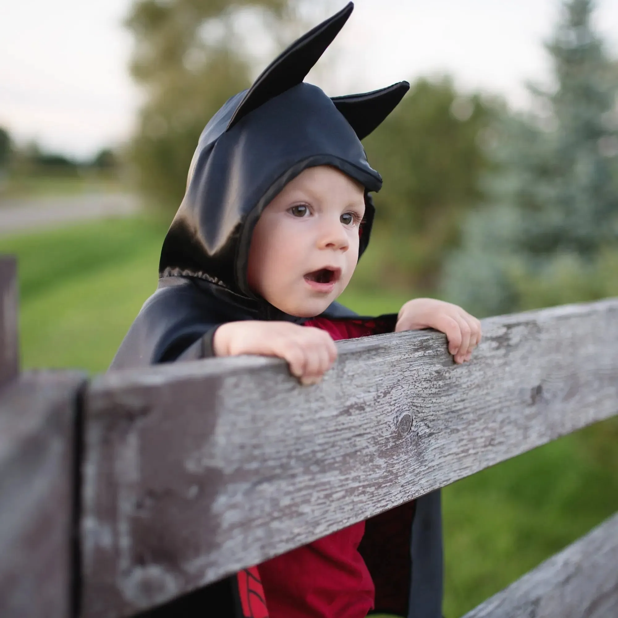Baby Reversible Spider/Bat Cape